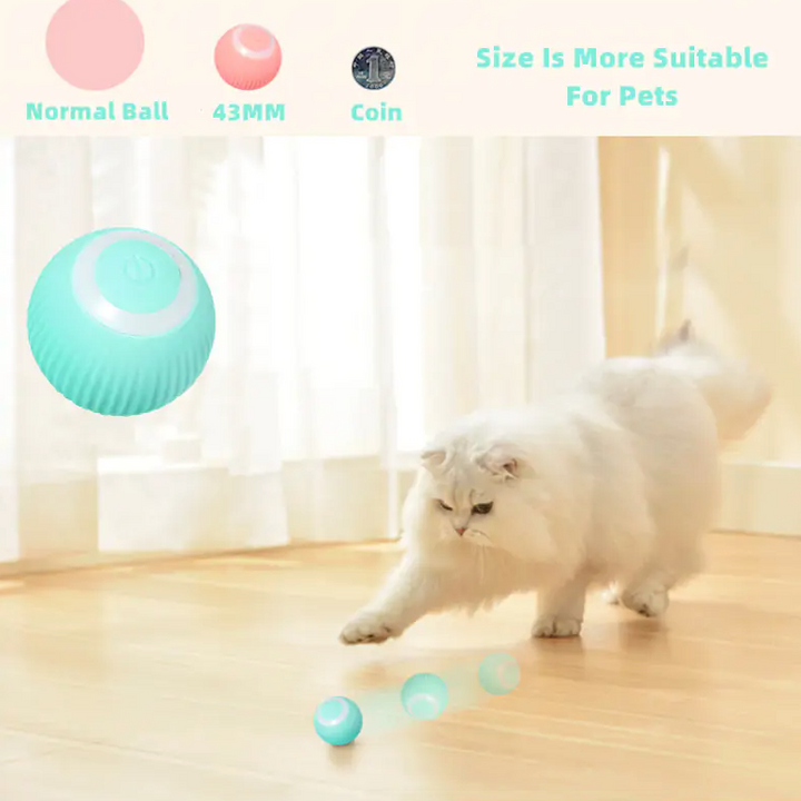 Smart Cat Ball Toys - My Store